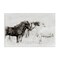 Stupell Industries Heartfelt Horses in Neutrals Canvas By PHBurchett